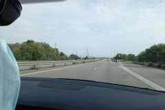 IMG-20210913-WA0008